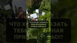 ЧТО ХОЧЕТ СКАЗАТЬ ТЕБЕ ВСЕЛЕННАЯ ПРЯМО СЕЙЧАС?