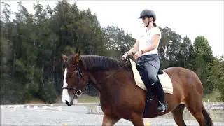 Lila Belle Dressage Lesson March 2019