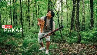 Pakari - Magical Andean flutes sounds🪶