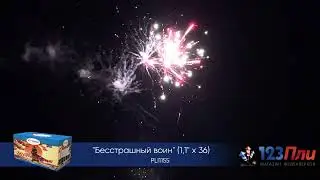 PLI1155 бесстрашный воин