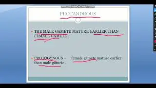 What is protandrous,and protogynous