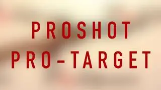 ProShot Pro-Target Co2 Air Pistol Review from Pellpax UK Gunstore