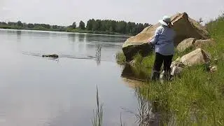 Отсутствие результата  есть тоже результат