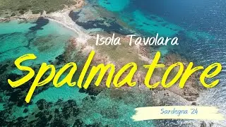 SPALMATORE DI TAVOLARA