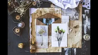 Скрап страничка. Мастер-класс. Винтаж. Коллаж. Ботаника