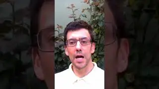 Mi candido per il MoVimento 5 Stelle a Casal Palocco - Roma ai Romani 