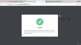 112  Twitter on Your Website