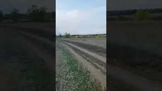Good chain 