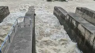 Talwara 52 gates | Water level | #dam #kullu #rain