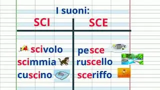 SUONO SCI  E SCE