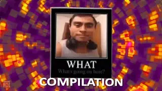 An Actual Compilation Of Sanctuary Guardian Memes