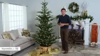 Pre-lit Alberta Spruce Christmas Tree - Product Review Video