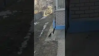 Идём домой.