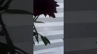 24 июля 2023 г.