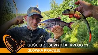 🤯🎣 Gościu z "Sewydża" - #Vlog 21 - Główka pracuje //@SavageGearPolska