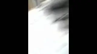 The troll is coming