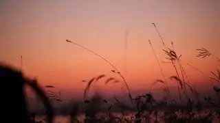 Ouça essa musica e relaxe a mente como nunca viu antes.