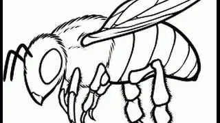 How to draw a bee