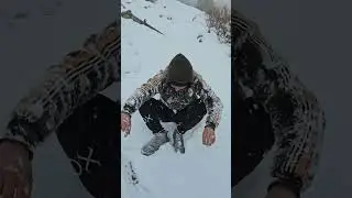 snowlife