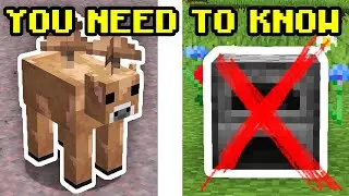 20 Minecraft Things Everyone Needs to Know