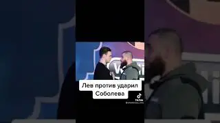 Лев против ударил Соболева