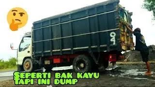 truck isuzu elf macam bak siluman 🤔