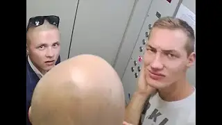 Шаловливые ручки со свинскими замашками