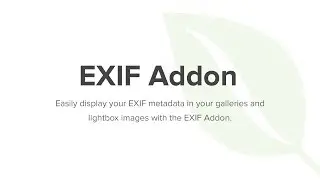 Envira Gallery EXIF Addon