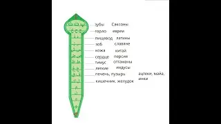 расшифровка днк через язык
