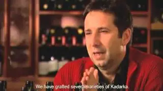Wines of Hungary - Northern Hungary Wine Region