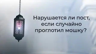 Нарушается ли пост, если случайно проглотил мошку?