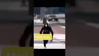 Мои обычные сны