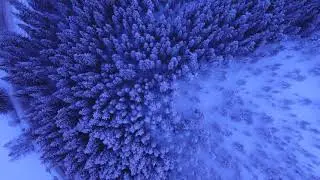 СЛЕДЫ НА СНЕГУ. Рассказ