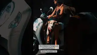 Motorbike Dog