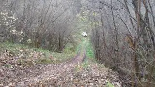 Нива едет в горку