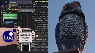 Lua and ESP32 Project: Effective Bird Deterrent Owl Scarecrow