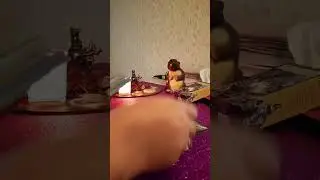 Что прояснится в скором времени #посланиетаро #отношения #чтобудет