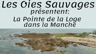 La Pointe de la Loge dans la Manche
