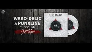 Punxline & WakoDelic - Best Friends
