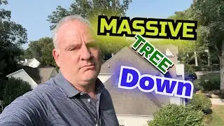 Massive Tree Down,  Daniel The Adjuster