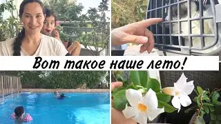ПУСТЬ МУЖ ЛЕТИТ, А Я НЕ ХОЧУ🤨 ДЕТЕЙ К СОСЕДЯМ, КОШКУ К ВЕТЕРИНАРУ🙀 ИЗМИР, ТУРЦИЯ 2021🇹🇷