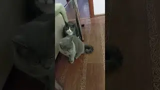 Брат?