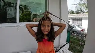 Lobster Mini Season 2023 - Miami Florida at Midnight - Caught over 60 lobster in less than 24 hours!