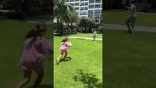 Воздушные змеи придумали в Китае! Shorts шортс 