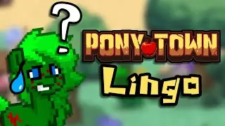Pony Town Lingo