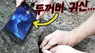 A toad ghost was discovered with an endoscope camera.
