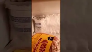 часть команды, часть корабля