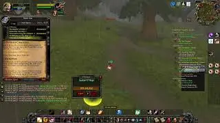 Hardcore priest level 12, building a guild gave me diabetes