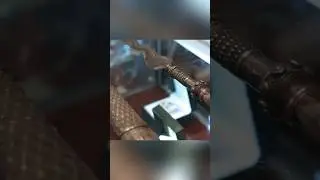 Продает Волшебную Палочку 😬 