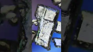 САХАР ПОД МИКРОСКОПОМ